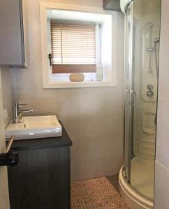 een badkamer met een wastafel en een douche met een raam bij Le Vieux Sart 6 Coo Spa Francorchamps in Stavelot