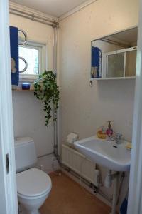 Lillstugan, södra Bergslagen في Surahammar: حمام مع مرحاض ومغسلة ومرآة