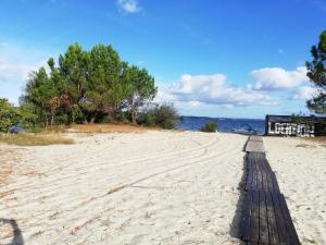 a sandy beach with trees and the ocean at MOBILHOME GASTES LANDES in Gastes