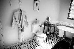 a bathroom with a toilet and a sink at The Bethesda in Nieu-Bethesda