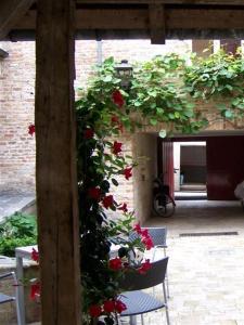 ブルージュにあるホテル アドルネスの建物内に赤いバラが生える庭園