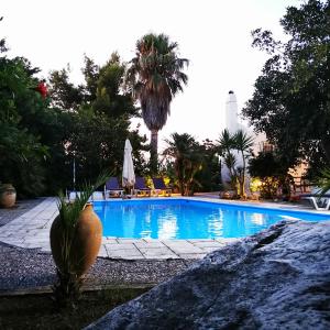 a large swimming pool with a palm tree in the background at Villa Irene in Kos
