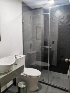 a bathroom with a shower and a toilet and a sink at Loft Estancia Real in Morelia