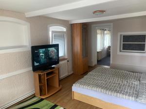 een slaapkamer met een bed en een flatscreen-tv bij Malý byt 1+1 in Karlsbad