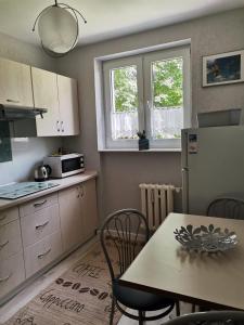 a kitchen with a table and a kitchen with a microwave at Apartament Pionierska in Ustrzyki Dolne