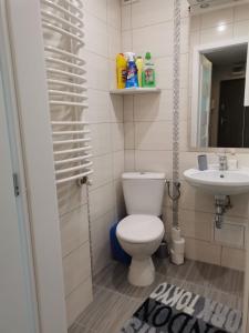 a bathroom with a toilet and a sink at Apartament Pionierska in Ustrzyki Dolne
