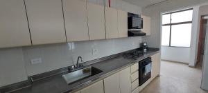 Kuchyň nebo kuchyňský kout v ubytování Amplio Apartamento en Los Colores