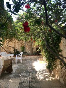 d'une terrasse avec 2 chaises blanches et des fleurs rouges. dans l'établissement VILLA ANGELA splendida villa a stone's throw from the sea, à San Pietro in Bevagna