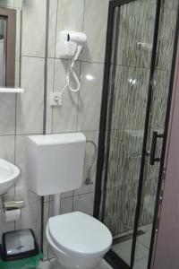 a bathroom with a toilet and a glass shower at Casa Mular in Kruševo