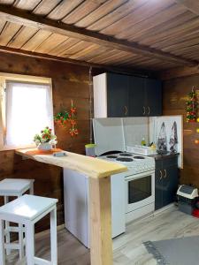 eine Küche mit einem weißen Herd und einer Theke in der Unterkunft Turizam Raković in Ivanjica