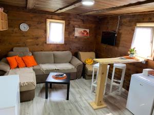 ein Wohnzimmer mit einem Sofa und einem Tisch in der Unterkunft Turizam Raković in Ivanjica