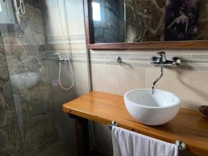 y baño con lavabo y ducha. en Monte Barranco en Villa Yacanto
