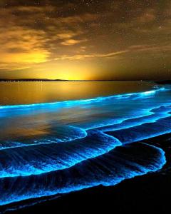 KoNA ISLANDER INN CONDOS في كيلوا كونا: إطلالة على المحيط ليلا مع أضواء زرقاء