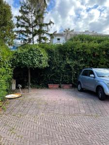 Um jardim em Celeste Apartment