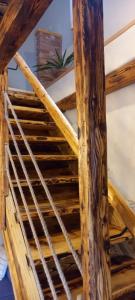 Fotografie z fotogalerie ubytování Apartmány Terra ve Staré Lesné