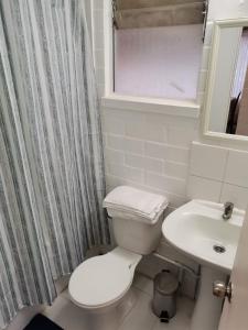 a bathroom with a white toilet and a sink at Casa acogedora en excelente ubicación de San Fernando in San Fernando