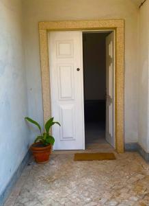 Foto dalla galleria di 1955 Guest House a Cebolais de Cima