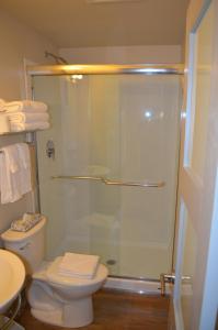 y baño con ducha, aseo y lavamanos. en Basalt Mountain Inn en Basalt