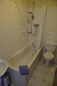 a white toilet sitting next to a bath tub at Seaview Guesthouse in Allihies