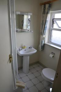 a bathroom with a sink and a toilet at Seaview Guesthouse in Allihies