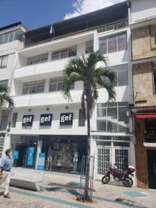 a palm tree in front of a white building at Aima Ibagué in Ibagué