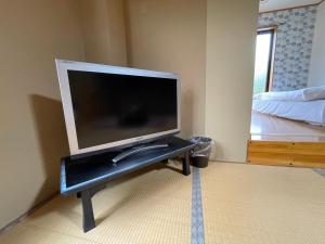 TV a/nebo společenská místnost v ubytování Hotel Isodokei