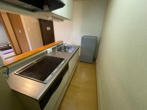 Kuchyň nebo kuchyňský kout v ubytování Hotel Isodokei