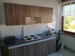Köök või kööginurk majutusasutuses Hotel Sklárna Harrachov