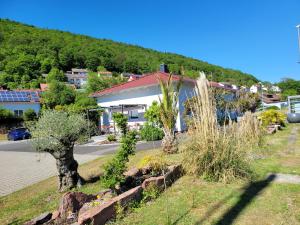 a house on a hill with plants in the grass at Travelers Home in Hasloch