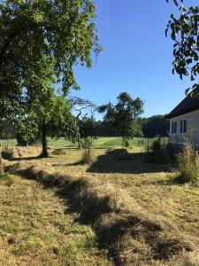 A garden outside Kellerstoeckl-am-veganen-Bio-Lebenshof-nur-fuer-Hundefreunde-empfohlen