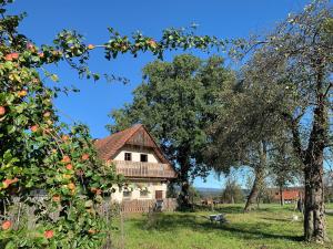 A garden outside Kellerstoeckl-am-veganen-Bio-Lebenshof-nur-fuer-Hundefreunde-empfohlen