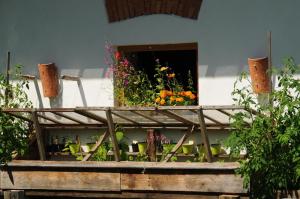 A garden outside Kellerstoeckl-am-veganen-Bio-Lebenshof-nur-fuer-Hundefreunde-empfohlen