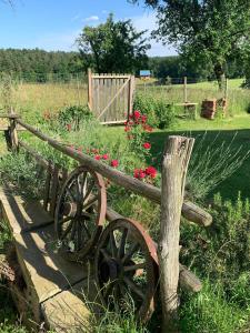 A garden outside Kellerstoeckl-am-veganen-Bio-Lebenshof-nur-fuer-Hundefreunde-empfohlen