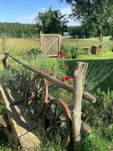 A garden outside Kellerstoeckl-am-veganen-Bio-Lebenshof-nur-fuer-Hundefreunde-empfohlen