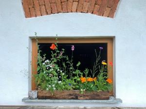 A garden outside Kellerstoeckl-am-veganen-Bio-Lebenshof-nur-fuer-Hundefreunde-empfohlen