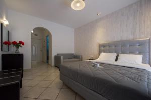 Gallery image of Villa Dorita Luxury Apartments in Parga