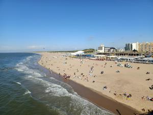 un grupo de personas en una playa cerca del océano en Beach House Rodine - free parking & bikes en Scheveningen