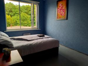 Gulta vai gultas numurā naktsmītnē Hostelis R27