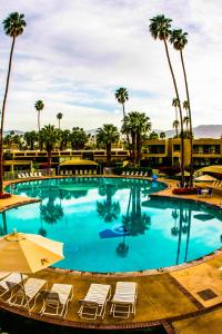 uma grande piscina com cadeiras e palmeiras em Shadow Mountain Resort & Club em Palm Desert