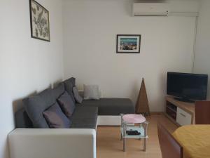 TV a/nebo společenská místnost v ubytování Apartment Mirela