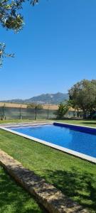 a swimming pool in the middle of a grass field at Villa das Oliveiras in Sintra