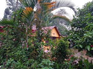 a house in the middle of a forest of trees at dreams home estate stay 2 in Suntikoppa