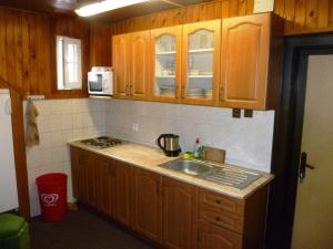 ロキトニツェ・ナト・イゼロウにあるPenzion Pod Studenovemの木製のキャビネットとシンクを備えたキッチン +14枚の写真