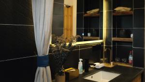 La salle de bains est pourvue d'un lavabo et d'un miroir. dans l'établissement Flower Yard, à Huairou