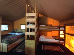 Łóżko lub łóżka piętrowe w pokoju w obiekcie Forrest Glamp