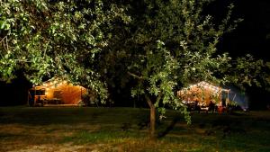 podwórko z drzewem i namiot z oświetleniem w obiekcie Forrest Glamp w mieście Jaśliska