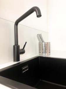 um lavatório de cozinha com uma torneira e um suporte para escovas de dentes em CityU - Grazioli 27 Trento Centro con parcheggio privato em Trento