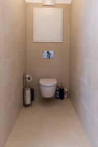 une salle de bain avec toilettes et un tableau au mur dans l'établissement Maureen Lovely 2 Bedroom Unit with Community Pool, à Vienne