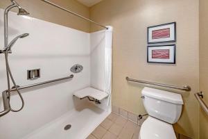 a bathroom with a toilet and a shower stall at Comfort Inn & Suites San Francisco Airport West in San Bruno
