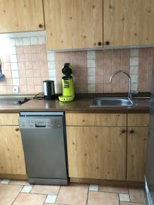 a kitchen with a sink and a dishwasher at Luise in Obernkirchen